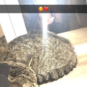 Meet your Posher, Kaitlyn